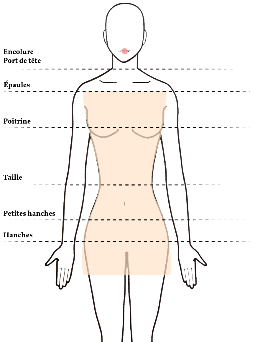 infographie explicative morphologie 8