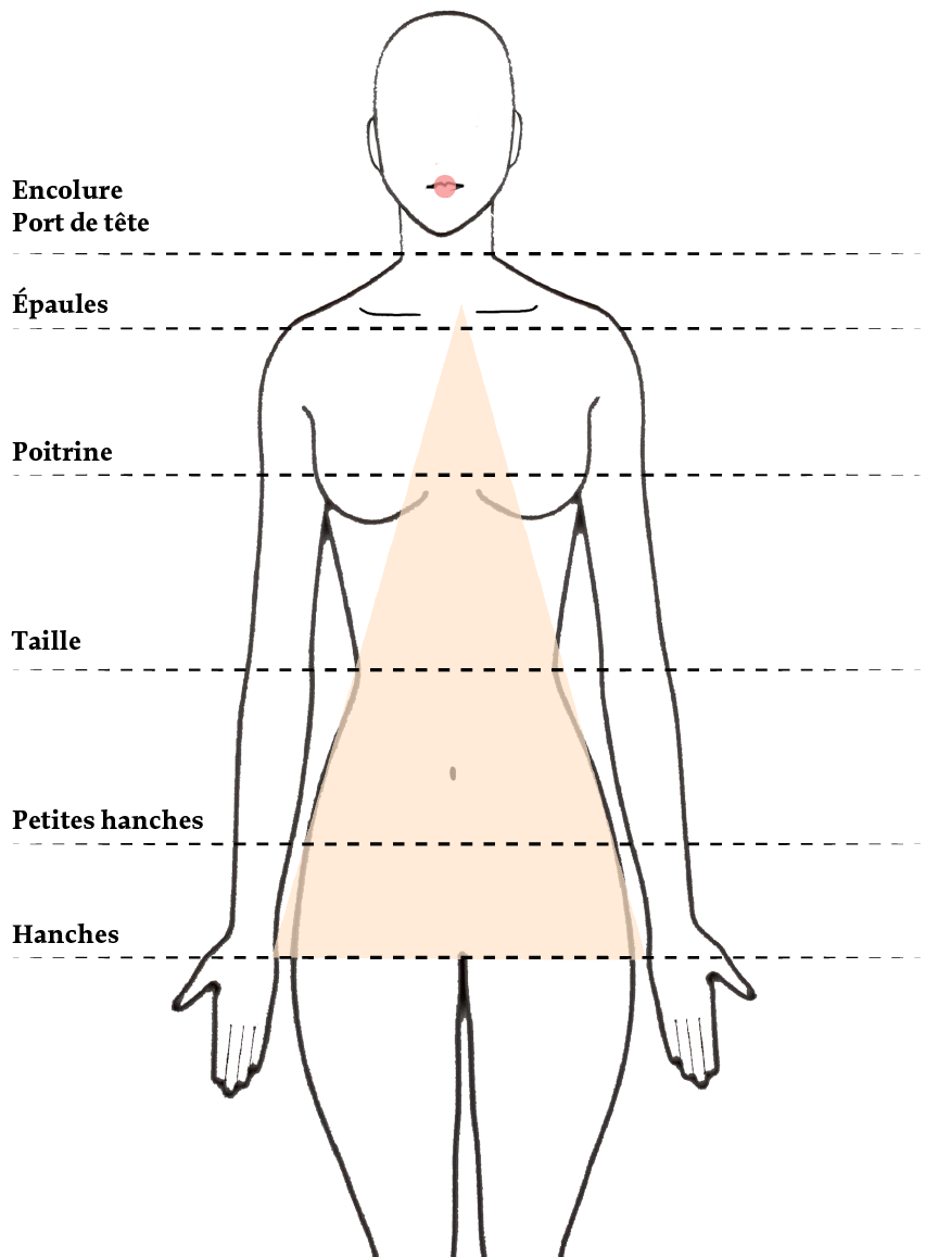 infographie explicative morphologie A