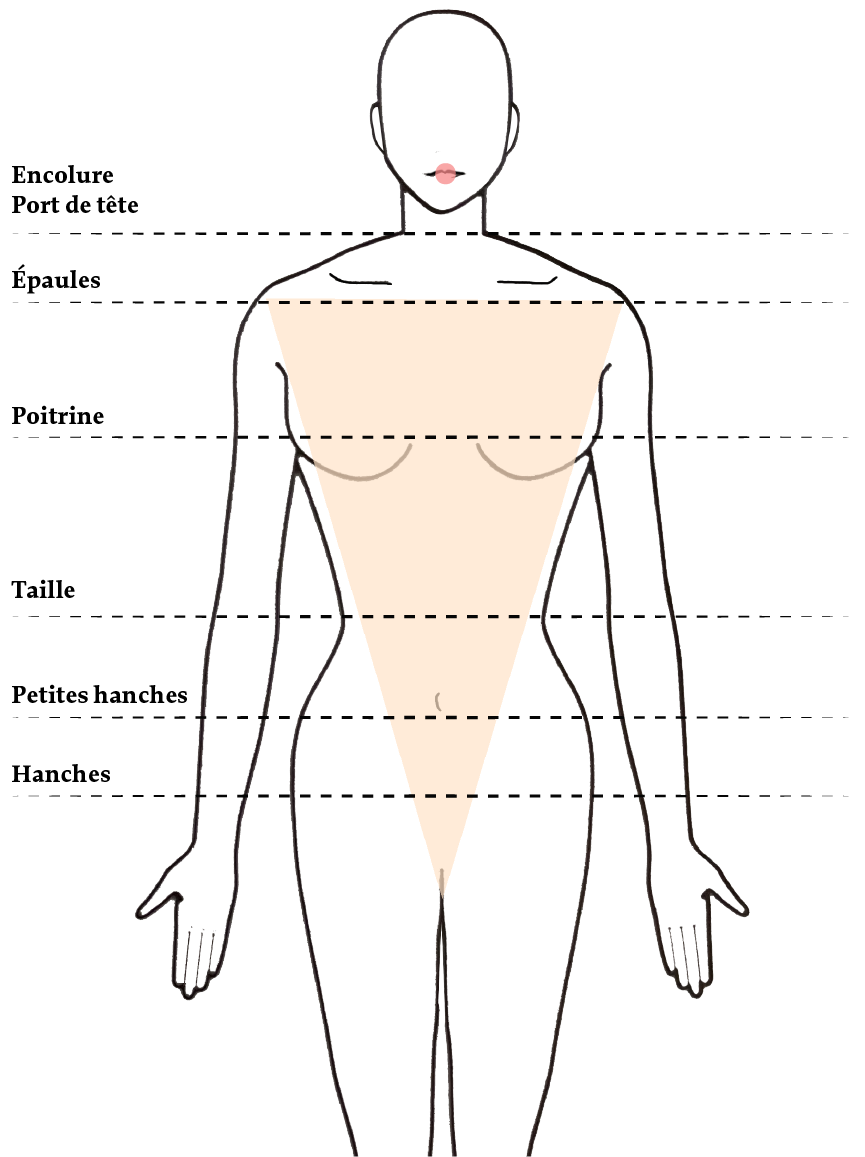 infographie explicative morphologie V